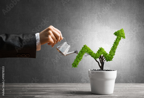 concept-of-investment-income-and-growth-with-tree-in-pot