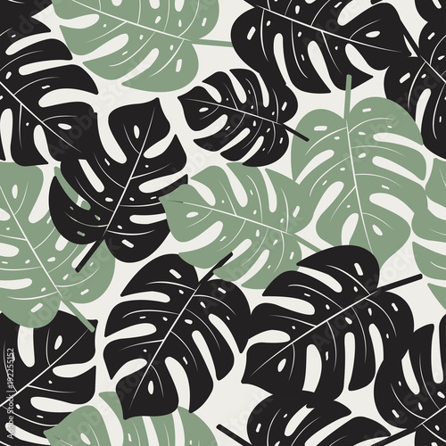 monstera-pozostawia-bez-szwu-desen-tropikalna-tekstura-wektor