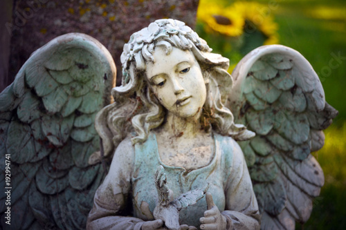 angel-descuidado