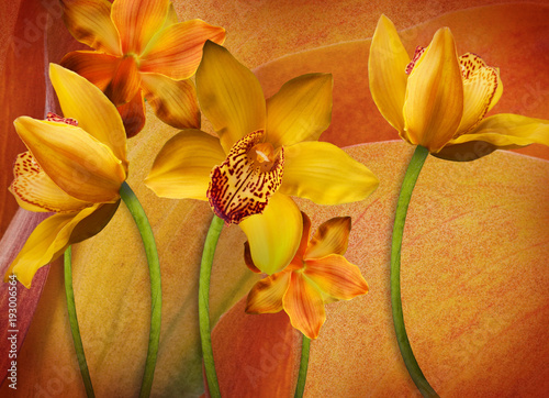 floral-background-of-orchids-bright-flowers-on-a-gray-applied-a-filter-with-grain