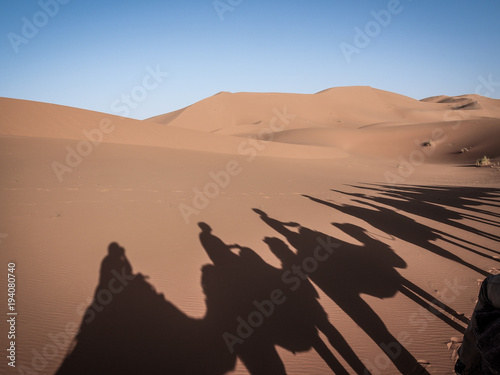shadows of camels in the sahara © Kate