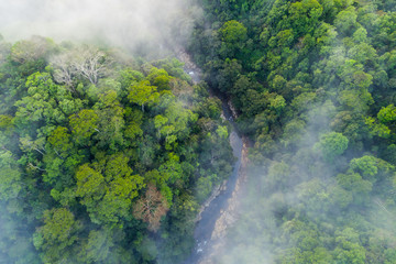 Naklejka kostaryka wzgórze niebo pejzaż dżungla