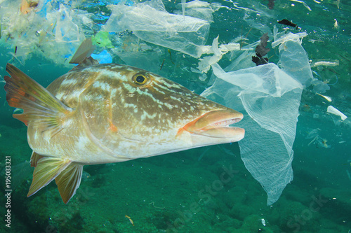 Plastic Ocean Pollution And Fish Bags Dumped In Sea Plastic Ocean Pollution And Fish Bags Dumped In Sea Contaminate Seafood