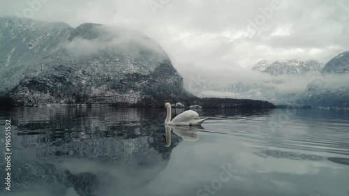 labedzie-plywajace-po-jeziorze-w-hallstatt