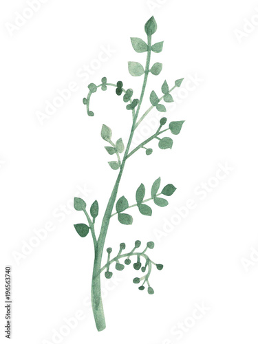 hand-gezeichnetes-grunes-blatt-aquarell-isoliertes-objekt