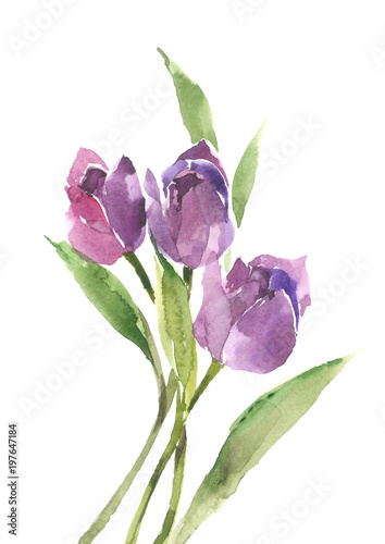 bukiet-purpurowych-tulipanow-wiosenne-kwiaty-kwiatowy-nastroj