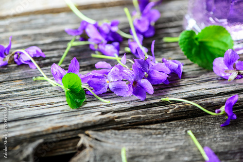 Produkte aus Veilchen - Viola; Duftveilchen; Blüten; Kräuter; Naturheilkunde; Medizin; Homöopathie; © Hetizia