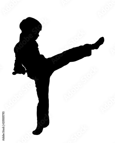 silhouette young fighter practicing leg kick on white © Denys Kurbatov