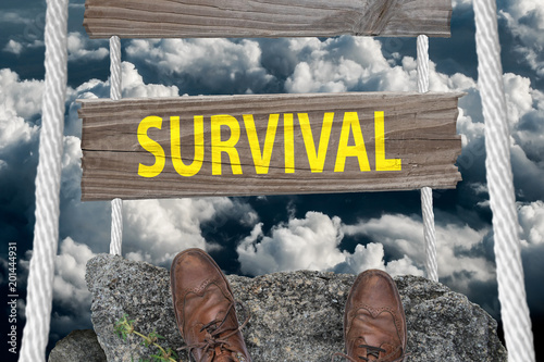 Challenging bridge with text Survival