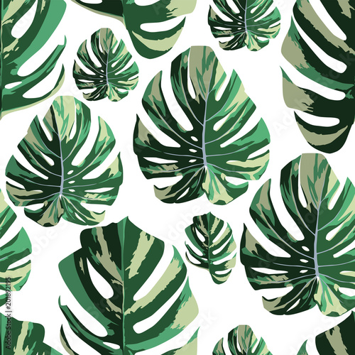 tropikalny-monstera-pozostawia-bez-szwu-desen-bialy-ba