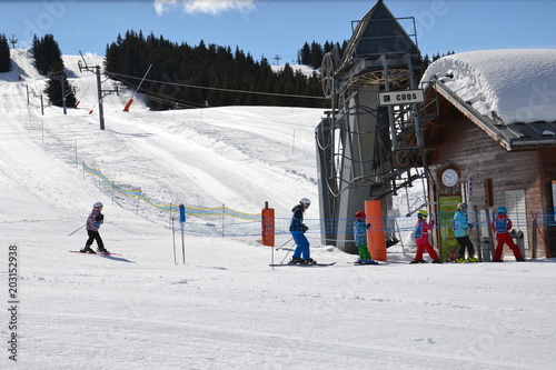 Ski dans les Alpes © ally310
