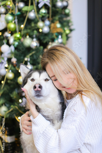 portrait of young happy girl with husky decorated fir tree in backgroundconcept of - Husky Christmas Decoration portrait of young happy girl with husky decorated fir tree in backgroundconcept of - Husky Christmas Decoration