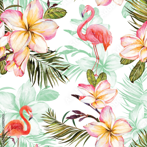 piekny-flaming-i-rozowy-plumeria-kwitnie-na-bialym-tle-egzotyczny-tropikalny-wzor