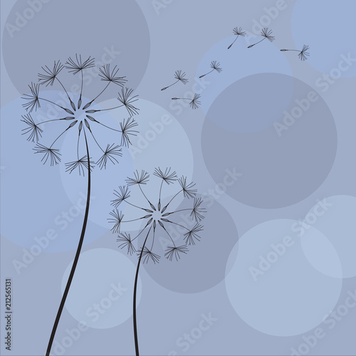 dandelion-z-latajacymi-ziarnami