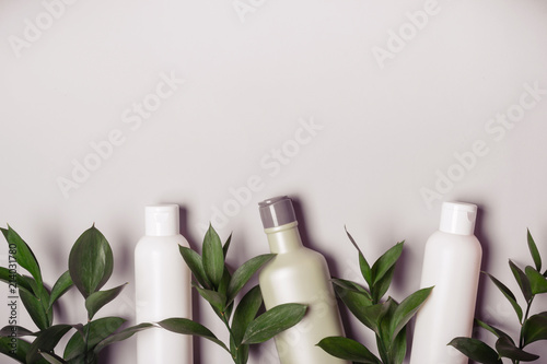 Natural Cosmetics set. Organic products and wild herbs © colnihko
