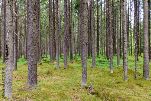 las-iglasty-o-wydzwieku-rustykalnej-przestrzeni