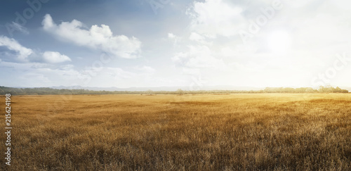 Landscape view of dry savanna © Leo Lintang