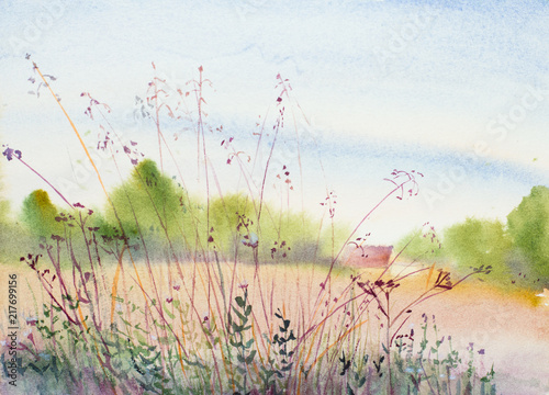 summer-landscape-with-a-field-and-a-house