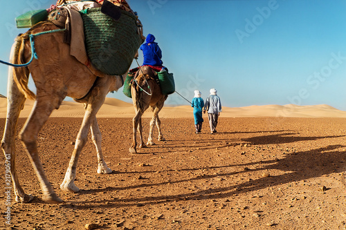 Berber nomads walking with a camel in the desert © Luiza