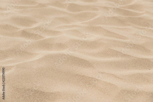 Fine Beach Sand Photos Ap Images Detailview Fine Beach Sand