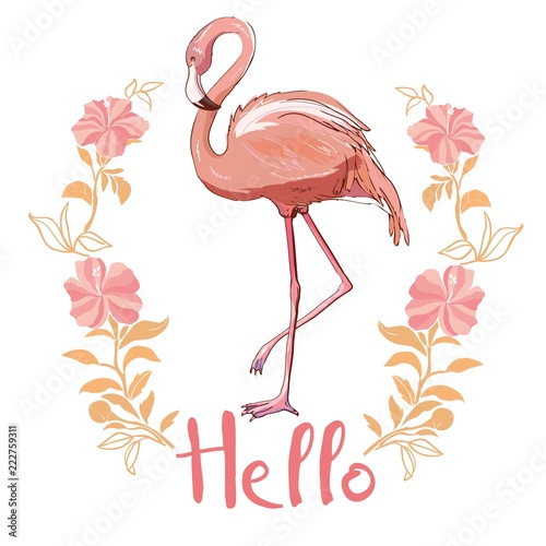 pink-flamingo-vector-illustration-isolated-on-white-background