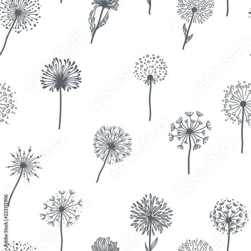 dandelion-old-plant-with-seeds-sketches-outline-pattern-vector