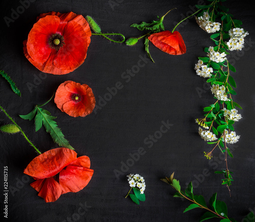 bukiet-czerwoni-maczki-i-bialy-spiraea-na-czarnym-tle-dzikie-kwiaty