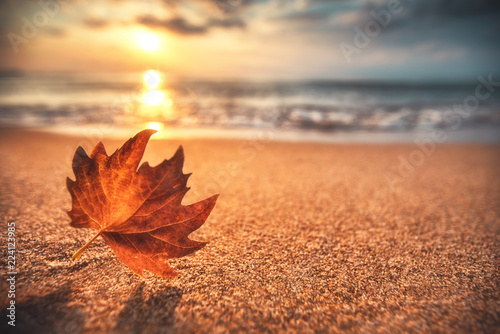 Autumn leaf on the sand. Beautiful cloudscape over the sea, sunrise shot © ValentinValkov