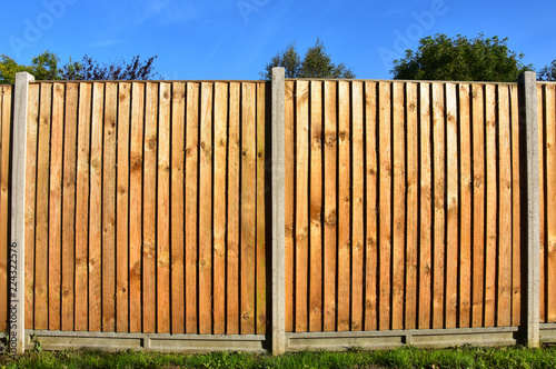Wooden featheredge garden fence with concrete support posts © Nimur
