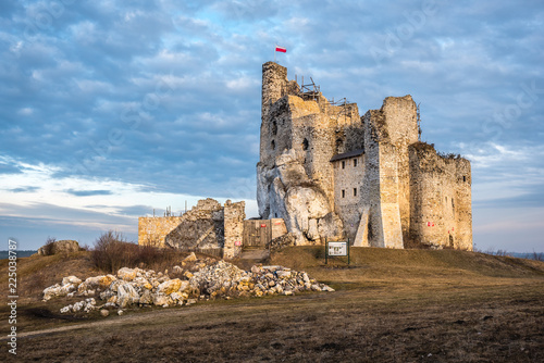 Zamek w Mirowie © kabat
