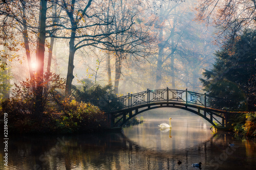 scenic-view-of-misty-autumn-landscape-with-beautiful-old-bridge-with-swan-on-pond-in-the-garden-with-red-maple-foliage