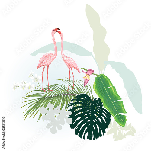a-composition-of-tropical-plants-palm-leaves