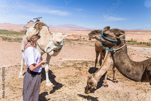 Young woman caressing camels on vacation in Morocco. © kasto