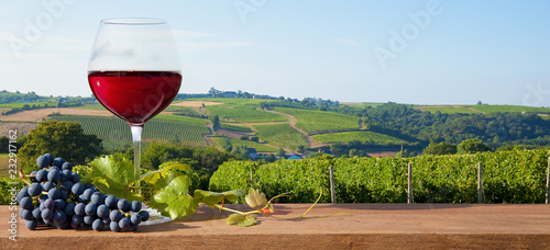 Verre de vin rouge sur paysage de vigne