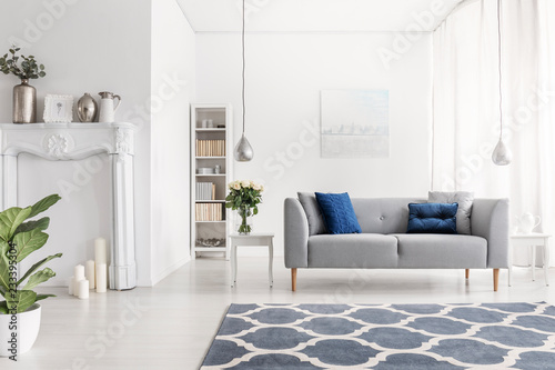 Symmetry In Design Of Luxury New York Style Living Room With Elegant Symmetry In Design Of Luxury New York Style Living Room With Elegant Grey Couch White Furniture