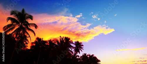 Tropical sunrise with coconut palm trees. Travel background. © Swetlana Wall