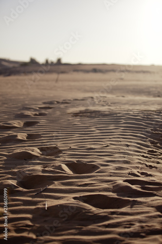 Desert footprints © JohnScott
