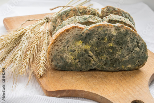 Mold Growing Rapidly On Moldy Bread In Green And White Spores Buy