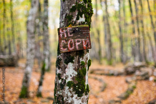 A sign in a forest - Do Not Litter