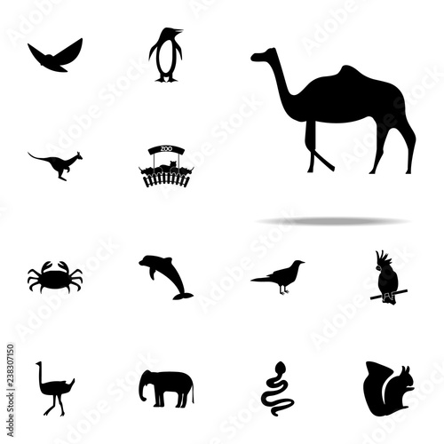 silhouette of a camel icon. zoo icons universal set for web and mobile © rashadaliyev