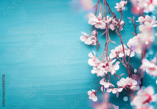 Pretty spring cherry blossom branches on turquoise blue background with copy space for your design. Springtime holidays and nature concept © VICUSCHKA