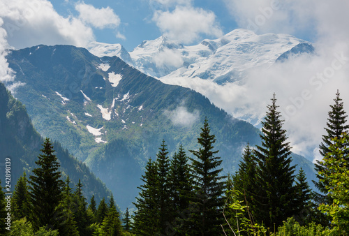 Mont Blanc mountain massif (view from Plaine Joux outskirts) © wildman