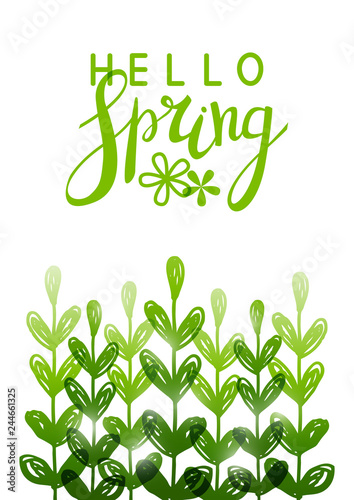 Spring background with green herbal silhouettes © evgeniya_m