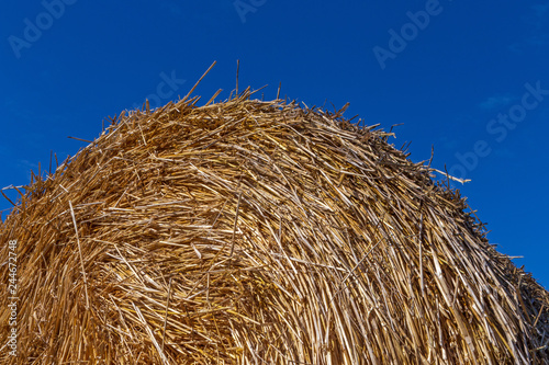 round stack of straw against blue sky © romantiche