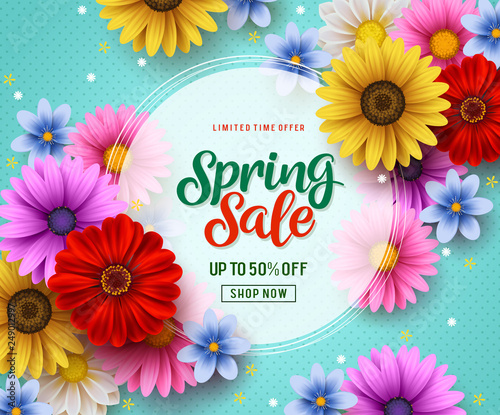Spring sale vector banner template with colorful flowers elements like chrysanthemum and daisy in the background and spring season discount promotional text in white frame. © HaveZein
