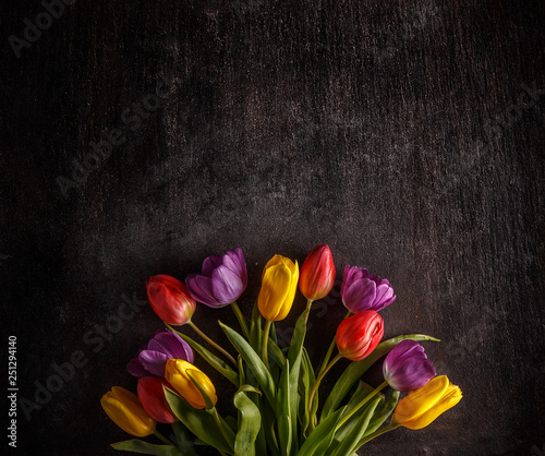 Vibrant colorful tulips © Grafvision