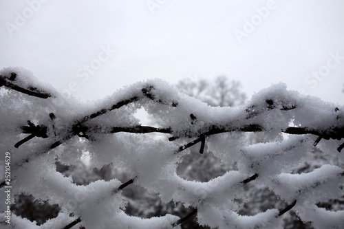Metal fence covered with snow © tonysk
