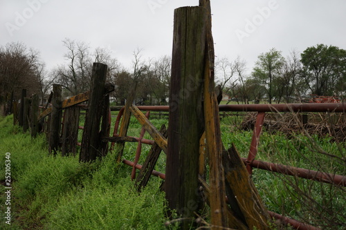 Wooden fence in the rain © Dana
