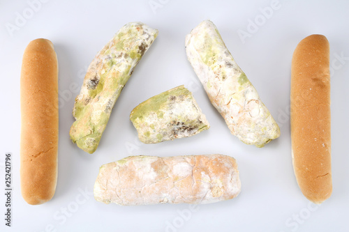 Mildew On Bread Spoiled Foods That Are Harmful To Consumption Mildew On Bread Spoiled Foods That Are Harmful To Consumption