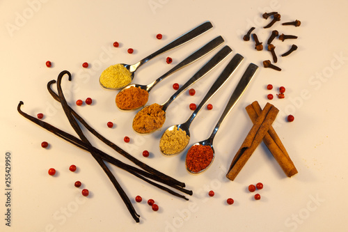 Different spices powder in teaspoon with cinnamon, cloves, vanilla pods and red berries © oceane2508
